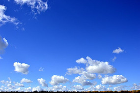 �����Ʋ�