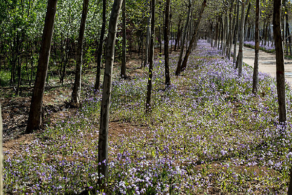 �������Ĵ���