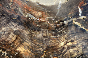 ľ��ʯ��ʼ���