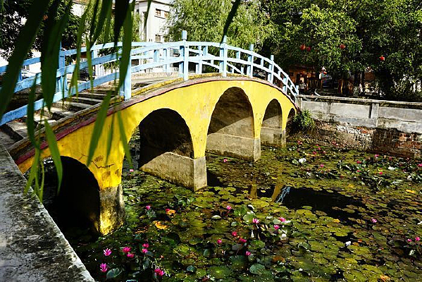 �����Ž���