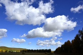 ��ɫ����