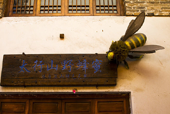 �������״�Ұ���۵���