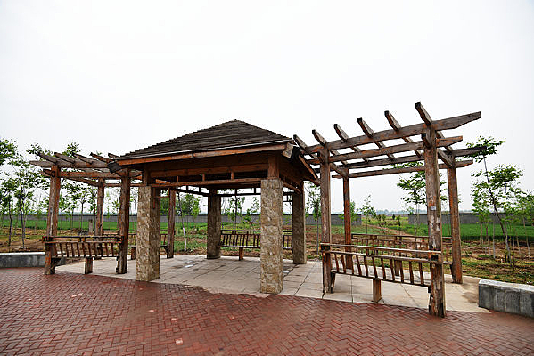 �տ��㳡����ͤ