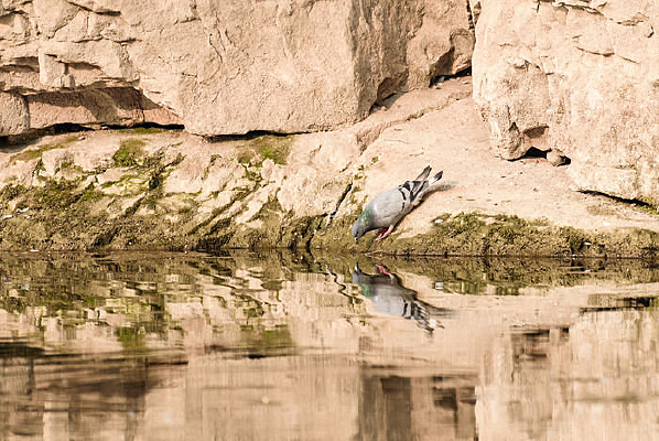 ˮ������ˮ�ĸ���