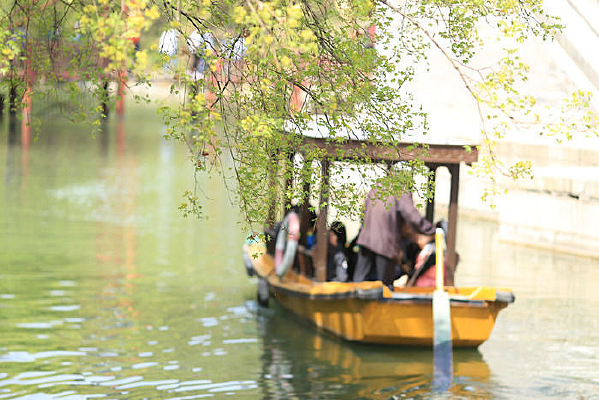 �����»�������