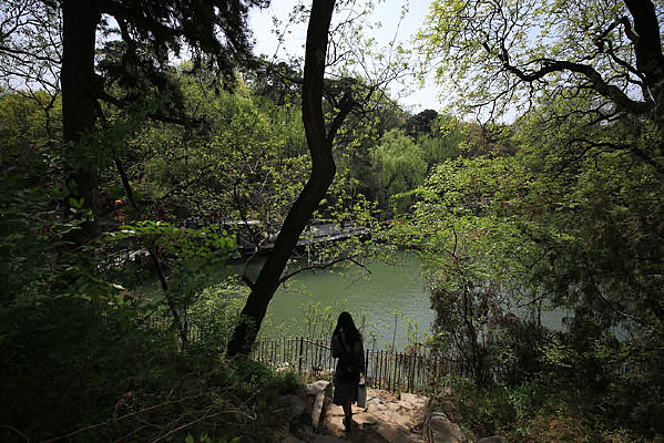 ��̨�׵���