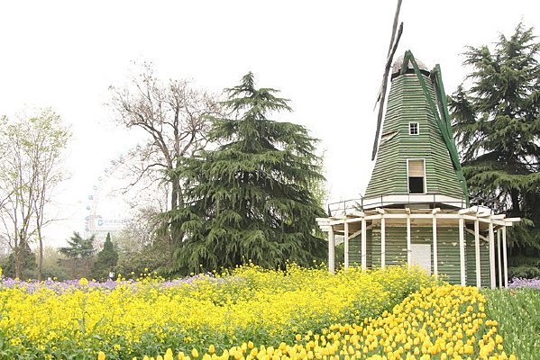 �����µķ糵��