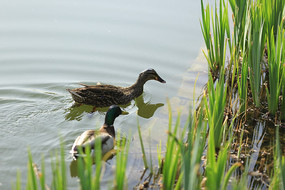 ��Ӿ��Ѽ��