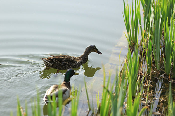 ��Ӿ��Ѽ��