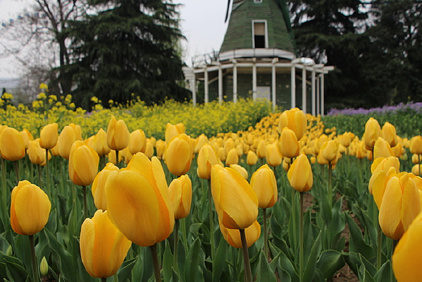 Զ���Ľ���