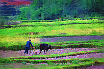 �����ͻ���������