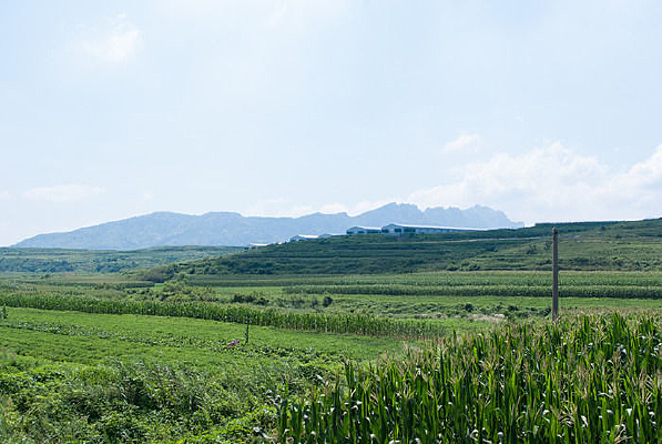 ������԰���