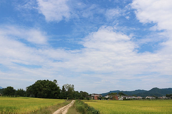 ����ׯ��С·