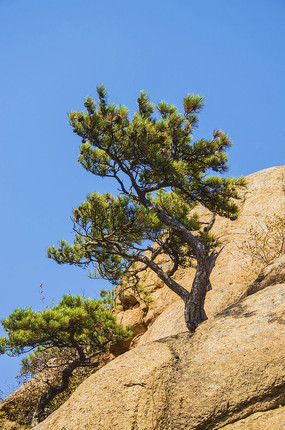 ǧɽ����ͱ�����