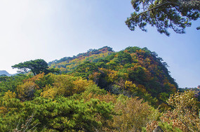 ǧɽС��ɽɽ���ﾰ