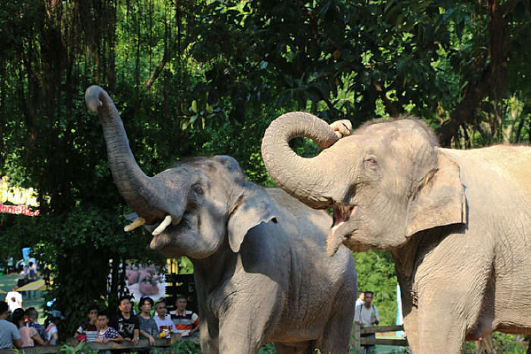 ���ڽ�ʳ�Ĵ���