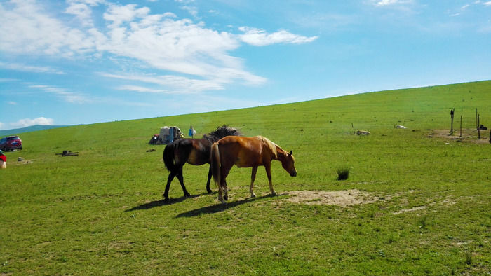 ��ԭ�����е���