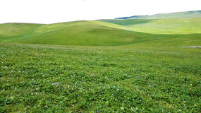 ���̵Ĳ����˲�ԭ