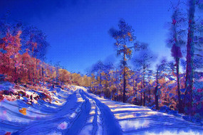 ����ˮ�ʻ���ѩ��ɽ·��