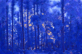 ����ˮ�ʻ���ѩɫ���֡�