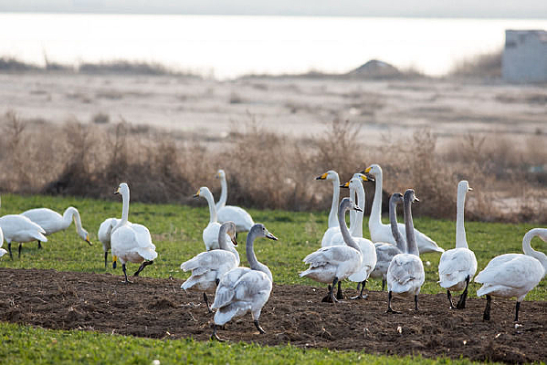 ���������е����