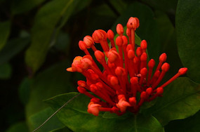 ��ɫ�ʻ�����ͼƬ