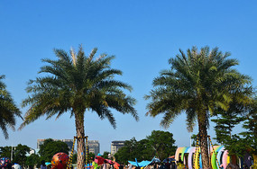 ������ľ�羰ͼƬ