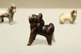 �ƴ������Թ�