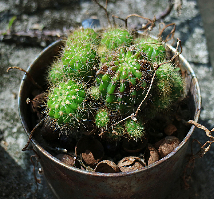 ����������