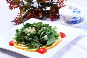 �����ѹ�Ӣ