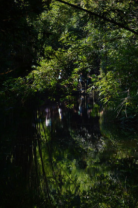 Ϫˮ������ӵ�Ӱ