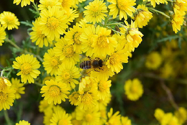 ɽ���ϵ��۷�