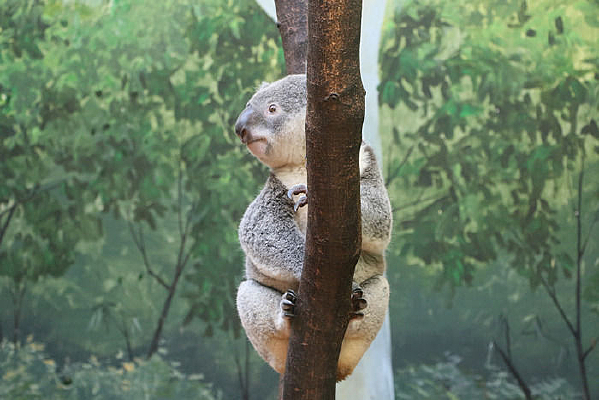 ����������