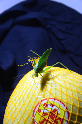 �����ϵ�����