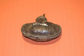 ����Ƥ��ҩ��