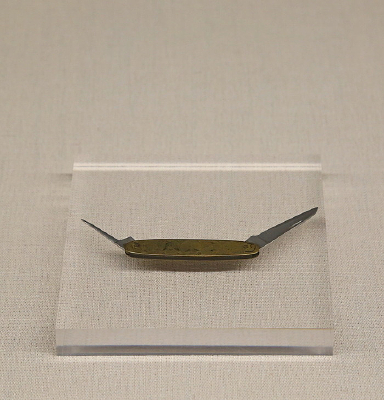 ���ķ��ž��ɻ���񵳵��۵���