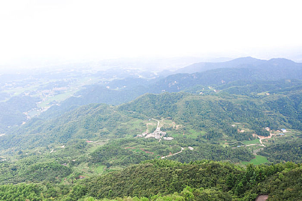 ��ֲ���ǵ�ɽ��