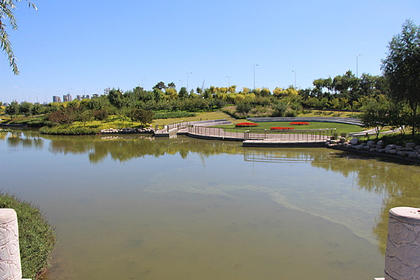 ���ı���