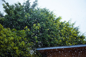 ����Ʈ�ŵİ�ѩ