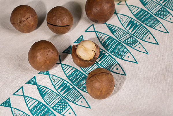 �����Ĺ�