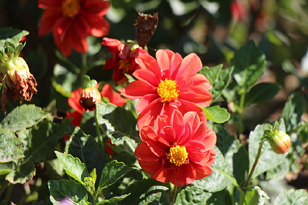 һ�������Ĵ�����