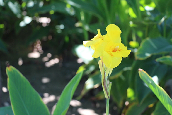 һ�����˽�