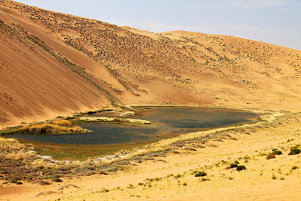 �͵�����