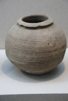 ���������չ�