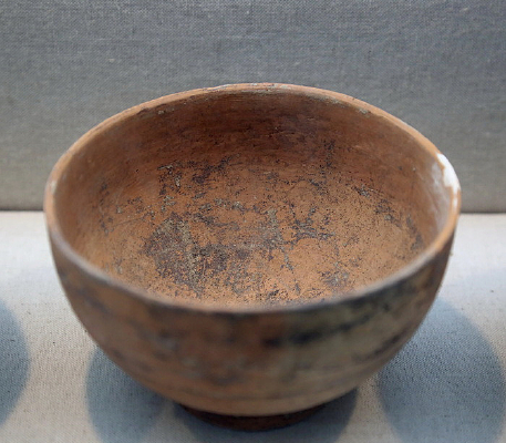 ����ʳ��������