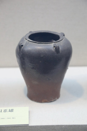 ����������ϵ��