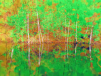 ˮʻֵӰ