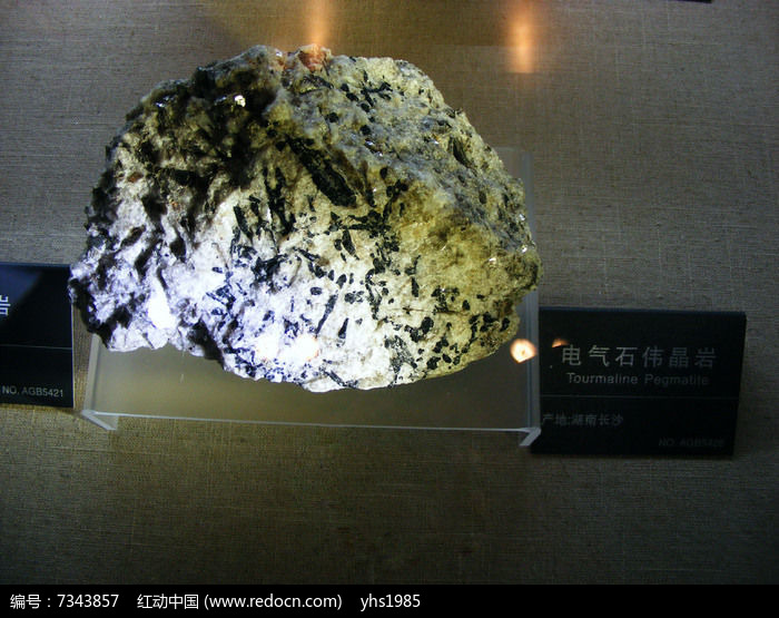 ����ʯΰ����ͼƬ