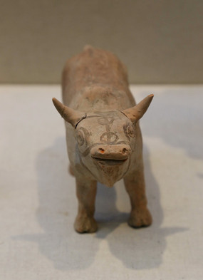 �ƴ��ʻ�����