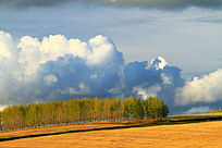 ����֮��